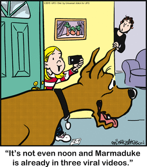 marmaduke